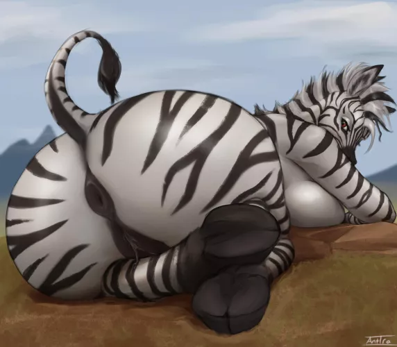 Zebra Butt [F] (Antira)