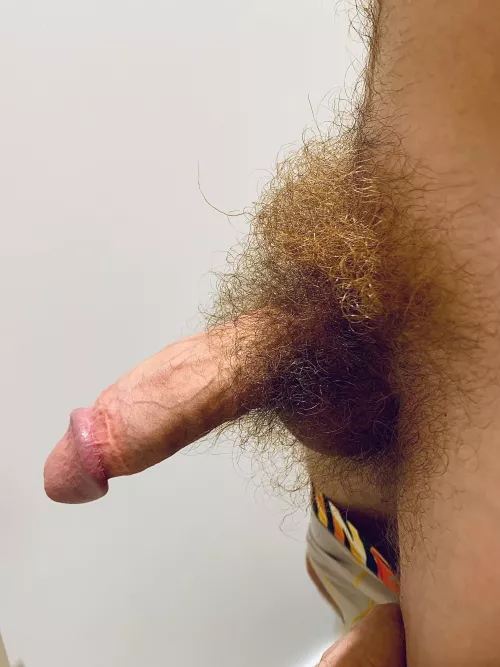 100% pure dick wool 🐏