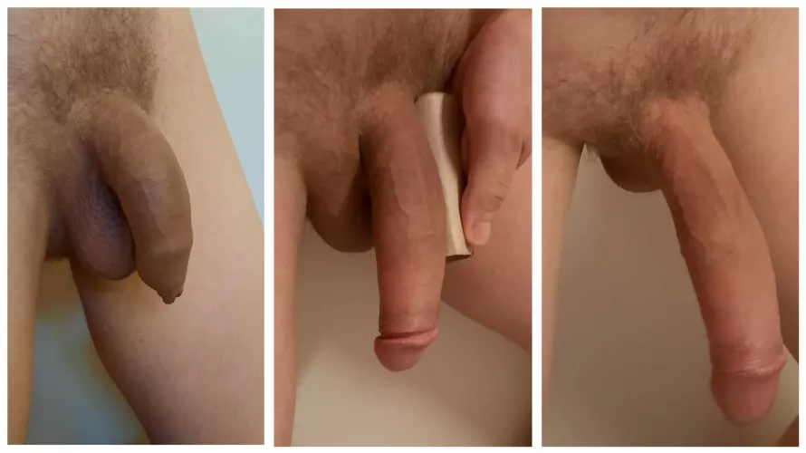 All three phases of my cock compared