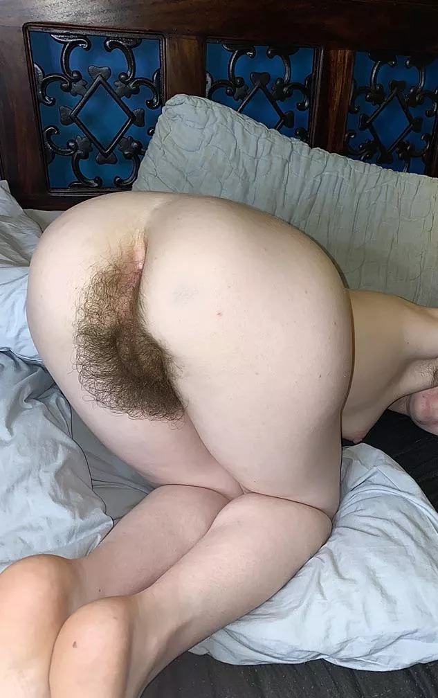 Can you find my asshole to play with amongst all this hair?