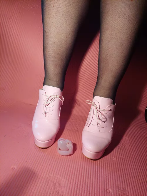 come here pet, mommy will keep you safe~