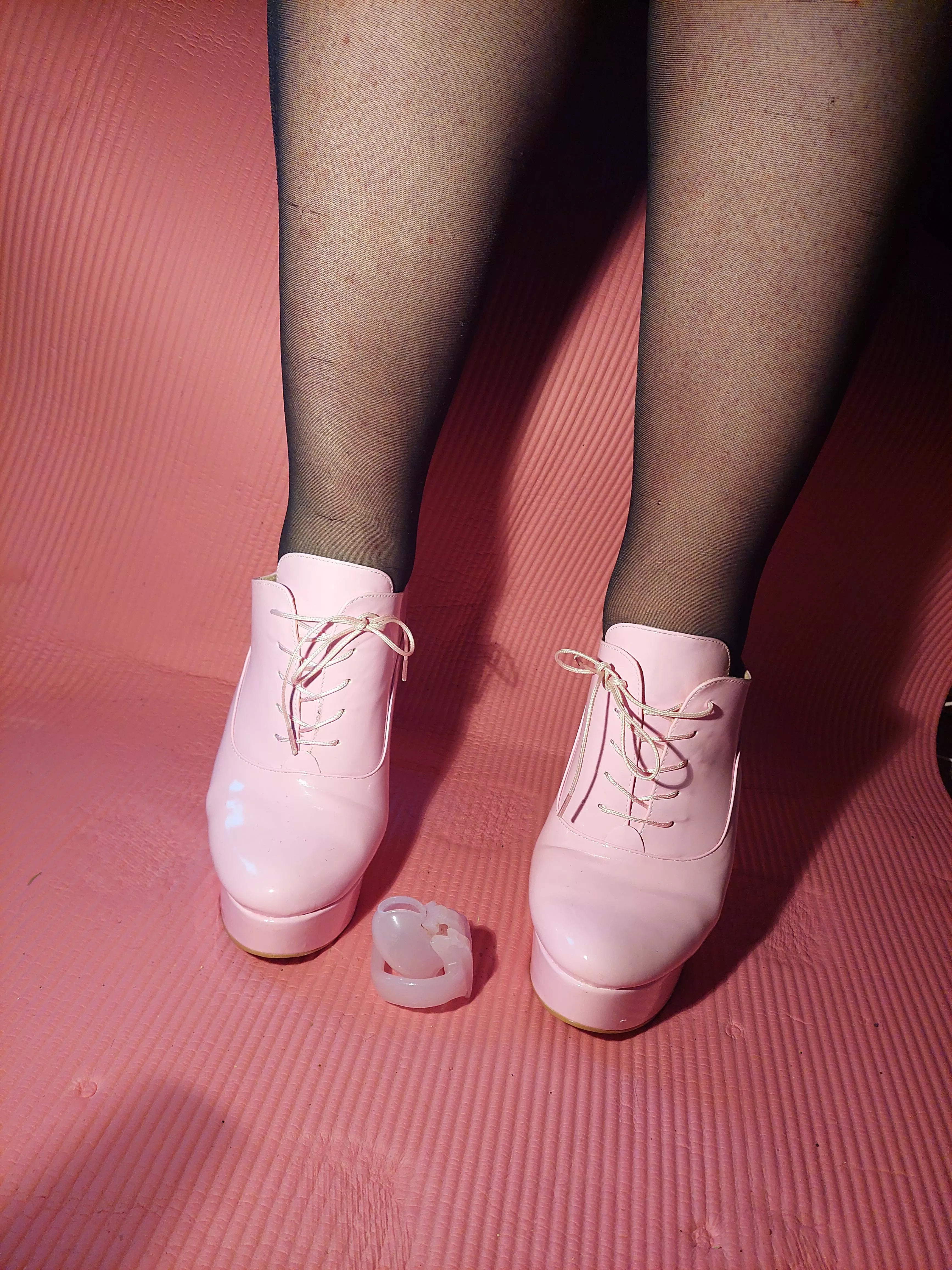 come here pet, mommy will keep you safe~