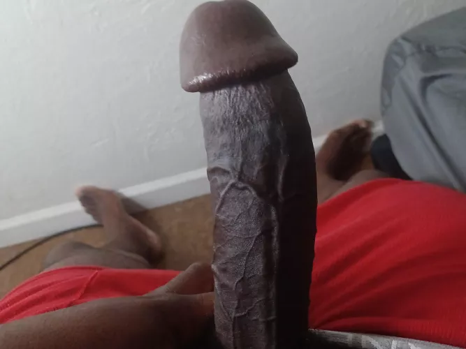 Does anyone have a tight wet place for me to put this thing on thick dick Thursday?