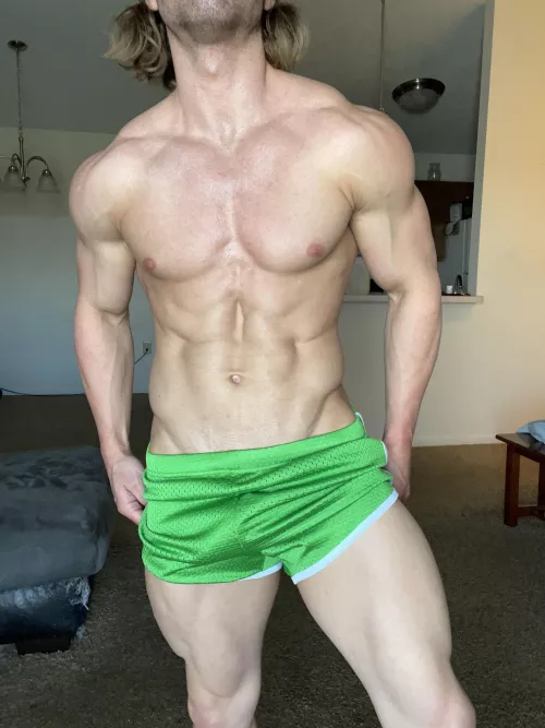 Focus on the V, not my ripped up couch