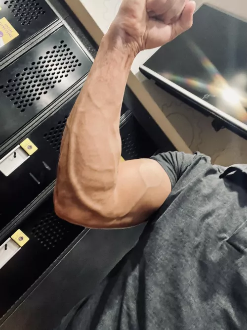 Good pump after arms today