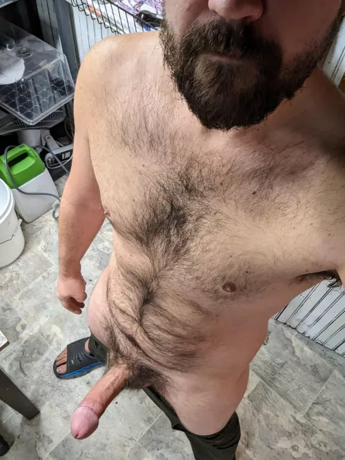 How does 3 loads a day sound? (36) (m)