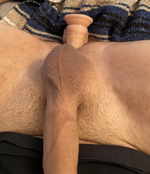 I wonder what you think of my ass filled with my toy… [OC]