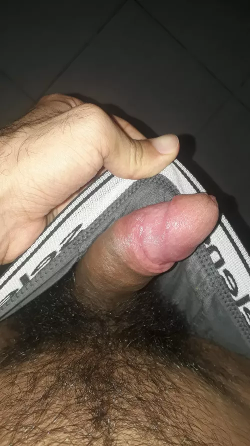 Is this hairy enough? 🤔