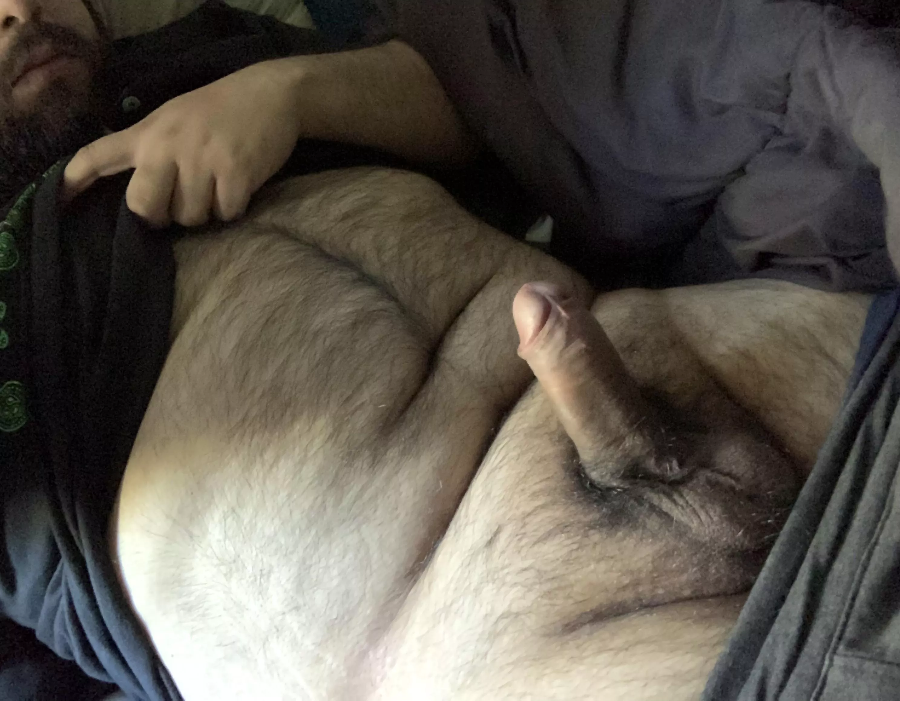 Let’s cuddle this morning?