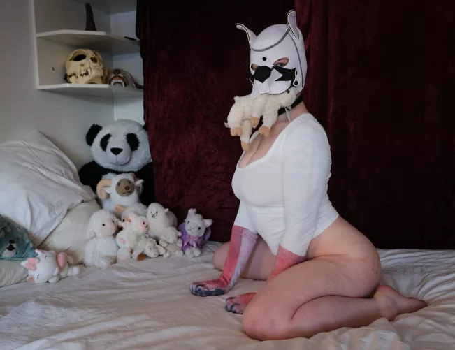 Making sure my sheep stuffies stay put!