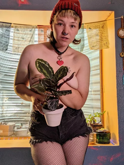 My calethea is one of my favorites 💚