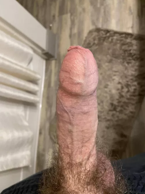 My fat cock: foreskin up