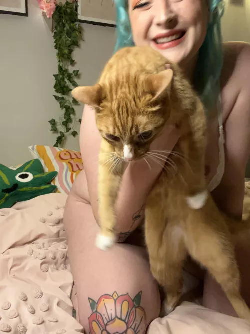 Never a dull moment with an orange