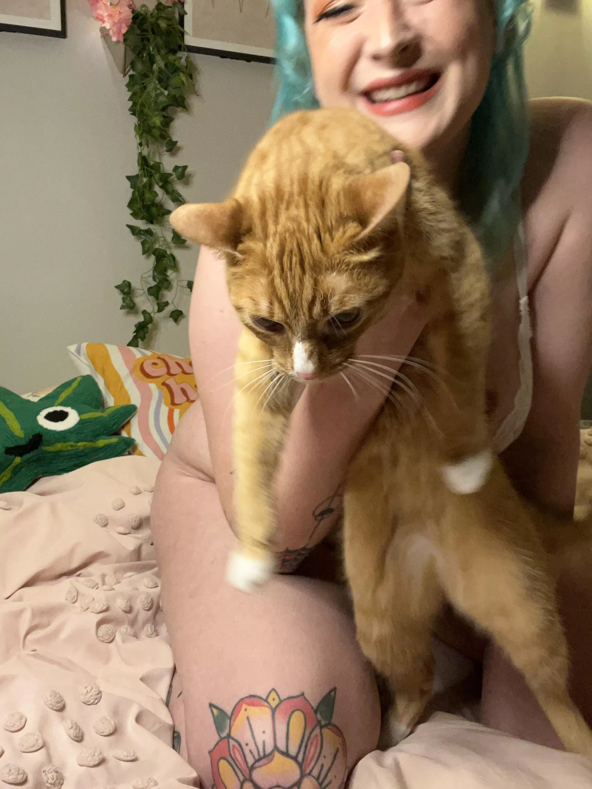 Never a dull moment with an orange