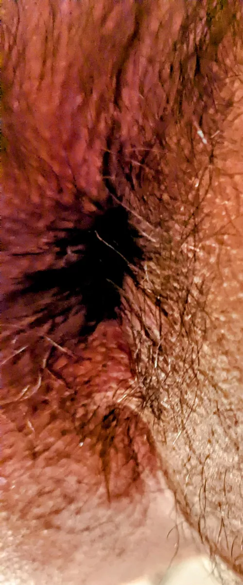 Nothing better than a hairy manly asshole