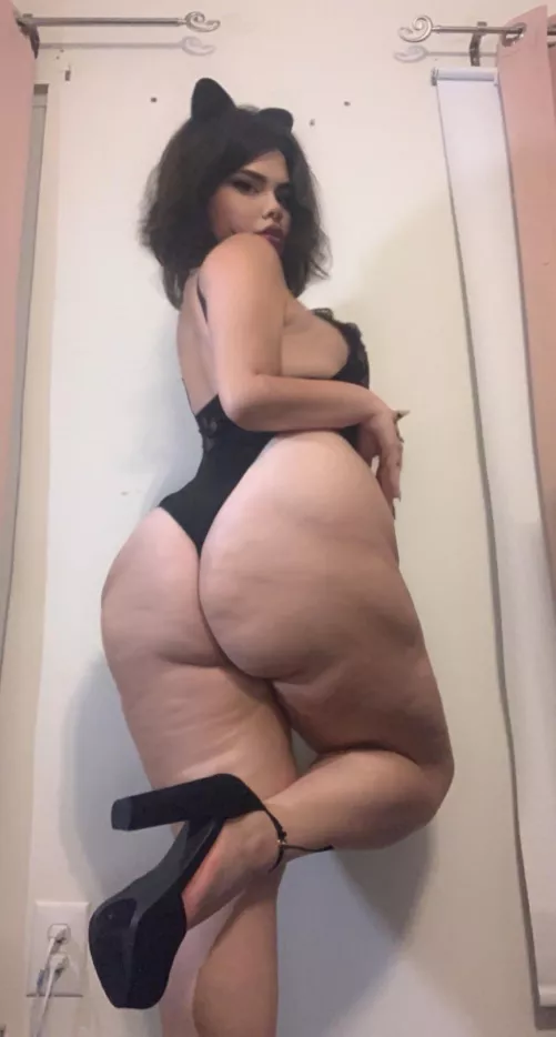 Say hi if you’d fuck a thick Mexicana 💋