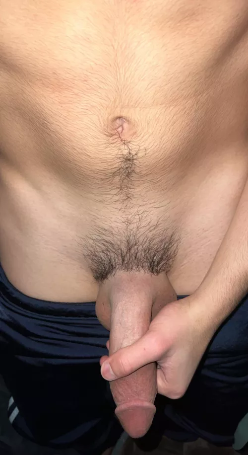 Should I keep growing the bush?