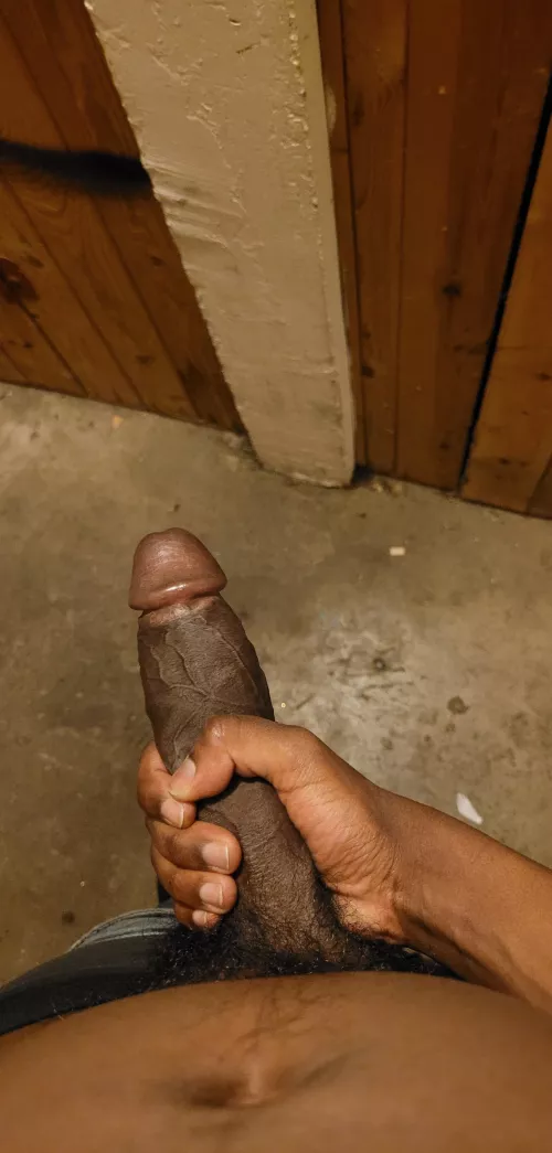 Sissy applications open 📂