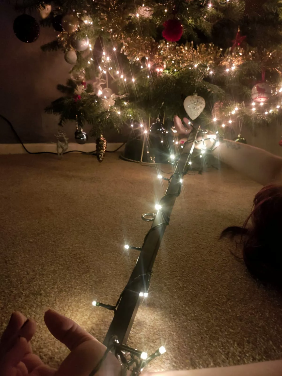 Still struggling to untangle the lights...