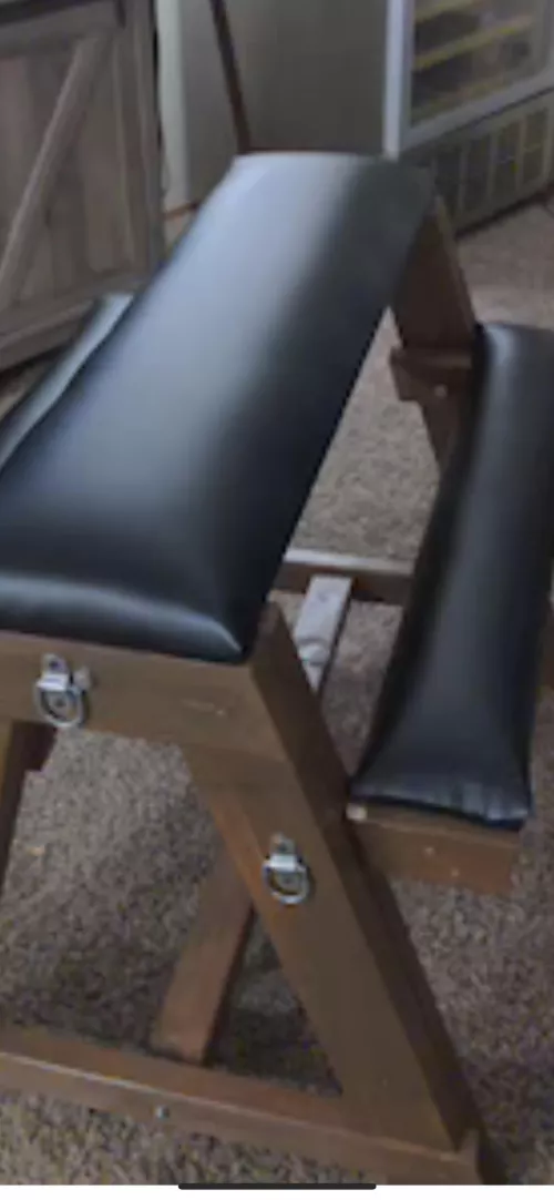 The Horse of excellence.