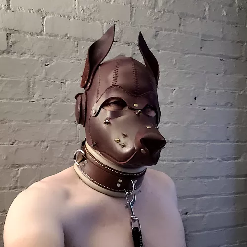 The pleasure to be collared...