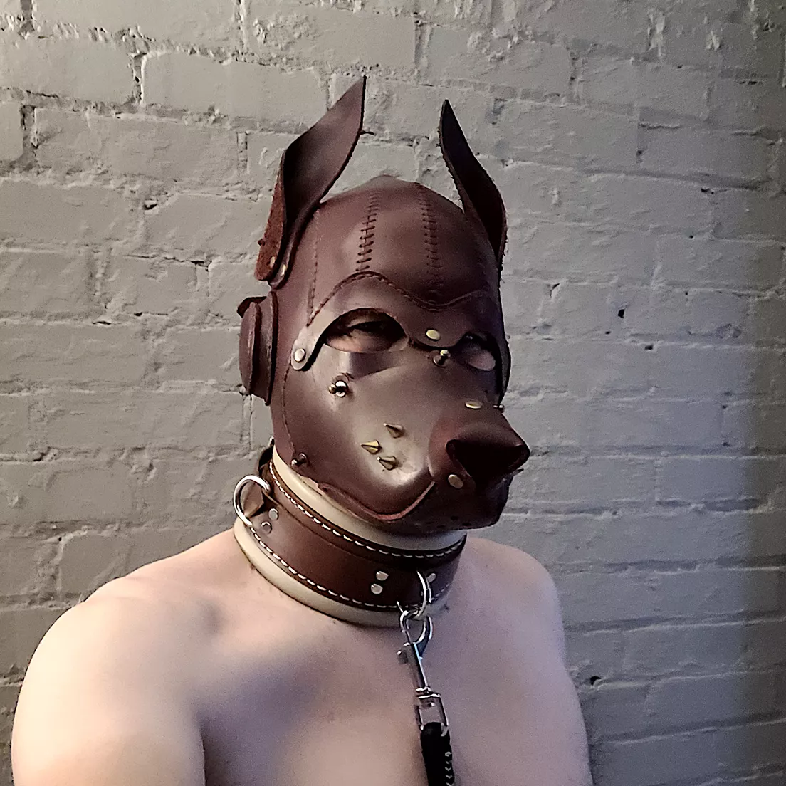 The pleasure to be collared...
