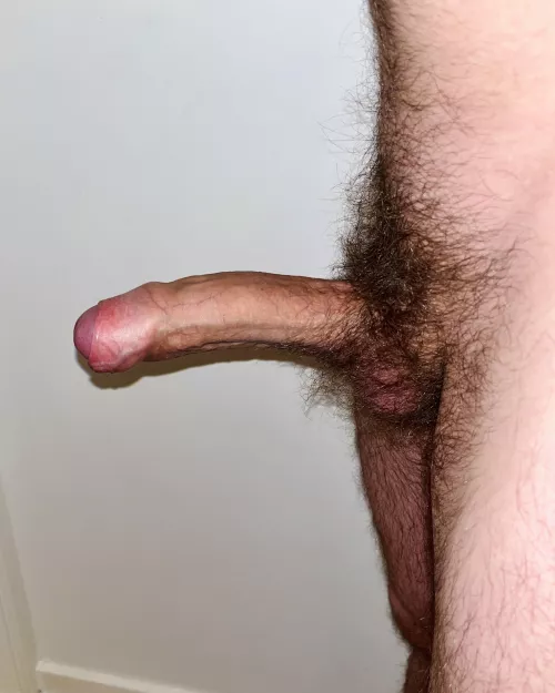 This dick has seen both ass and pussy.