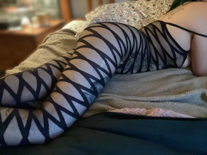 who wants to cuddle?