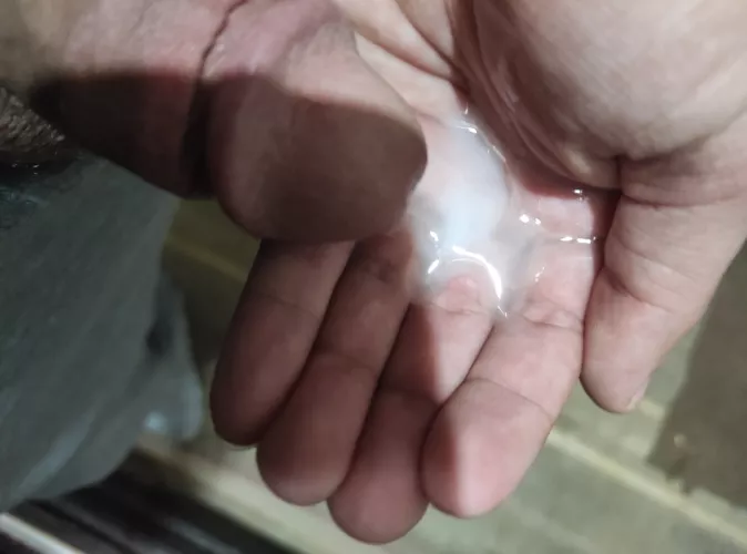 who will lick my hand?