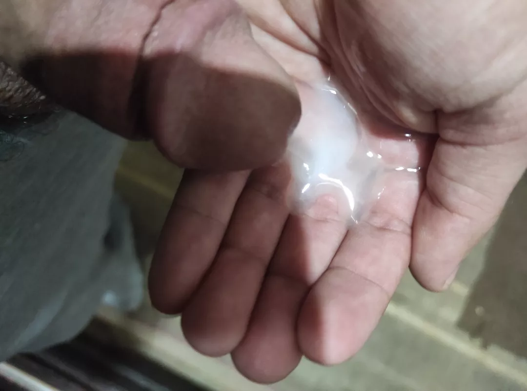 who will lick my hand?