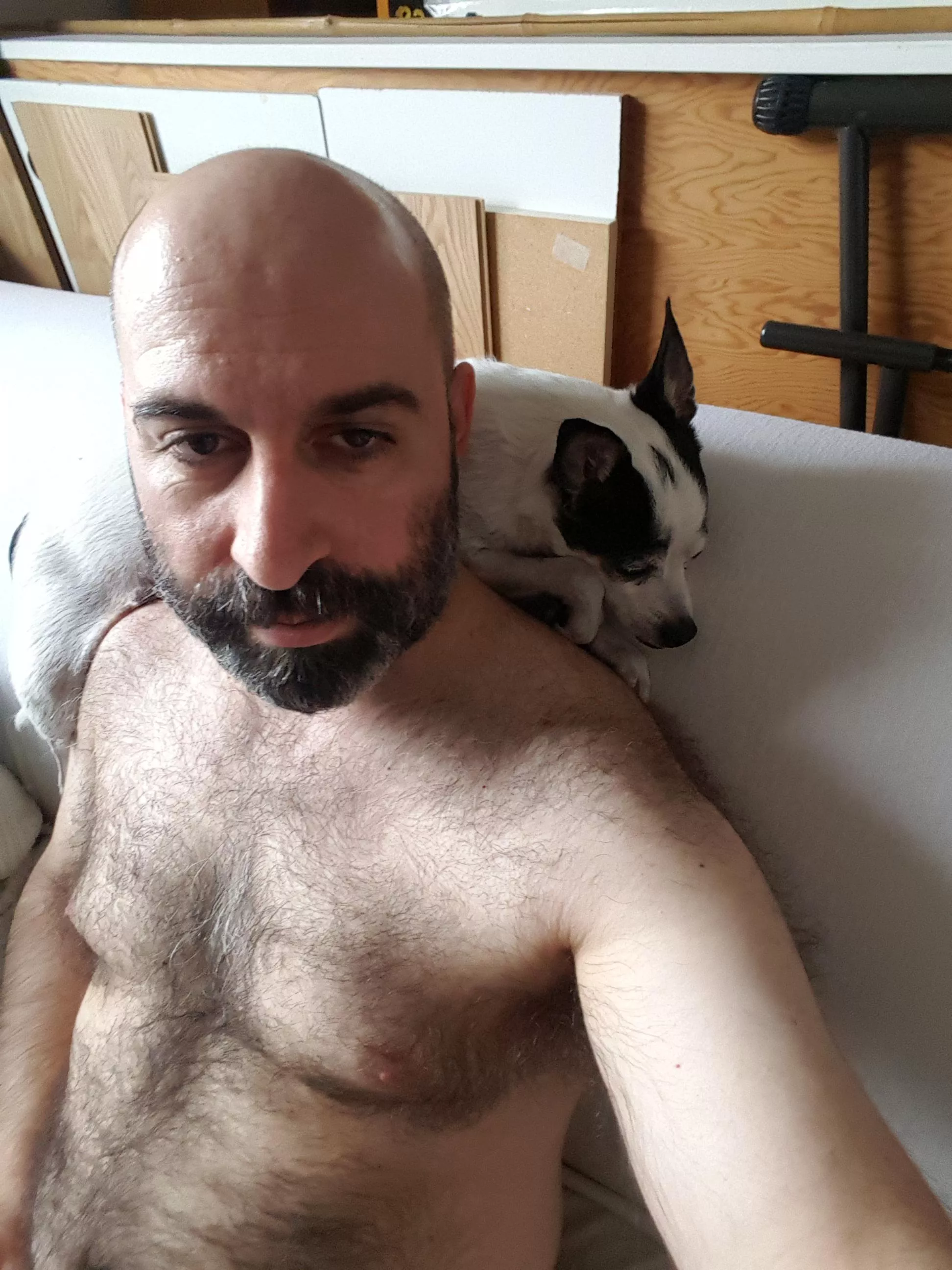 A furry body and a furry buddy