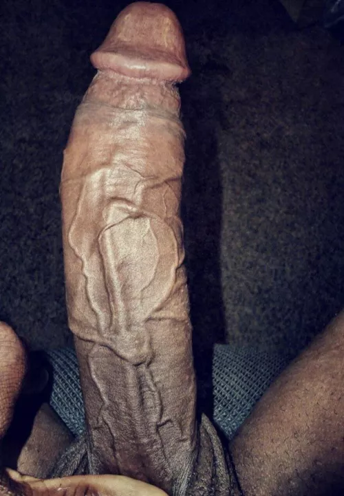 Anyone ordered a bbc