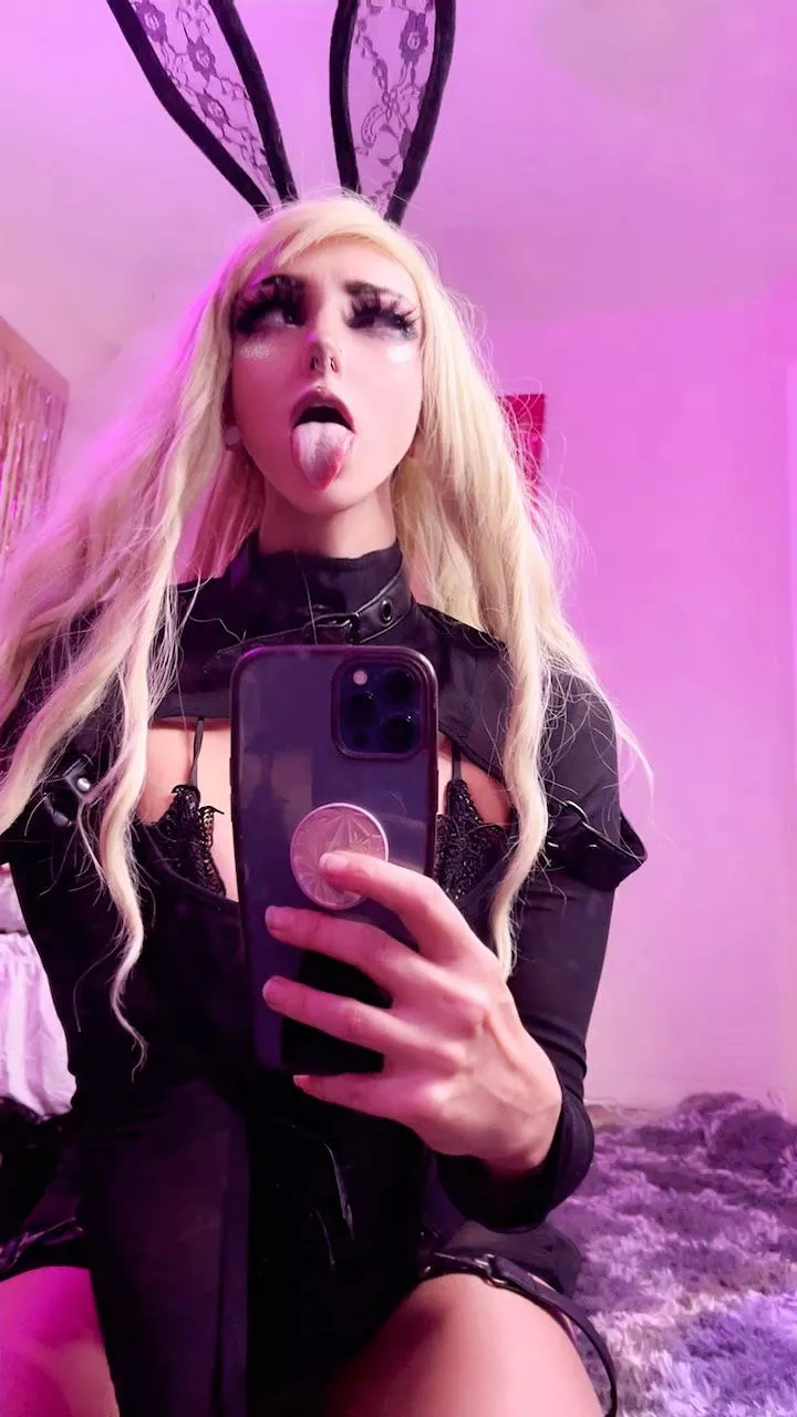 bunny here is ready ;) by Emery fennec