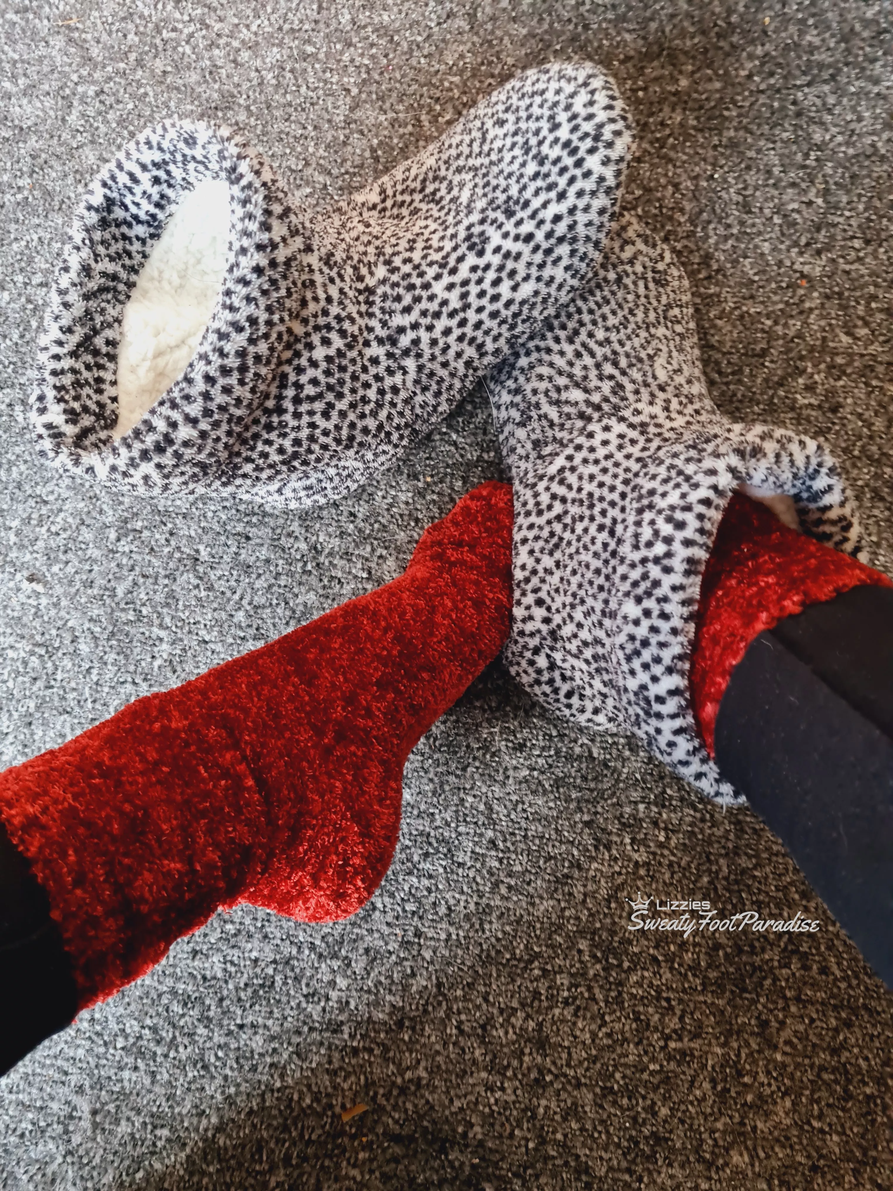 Cosy feet , sweaty toes 😏 (F)