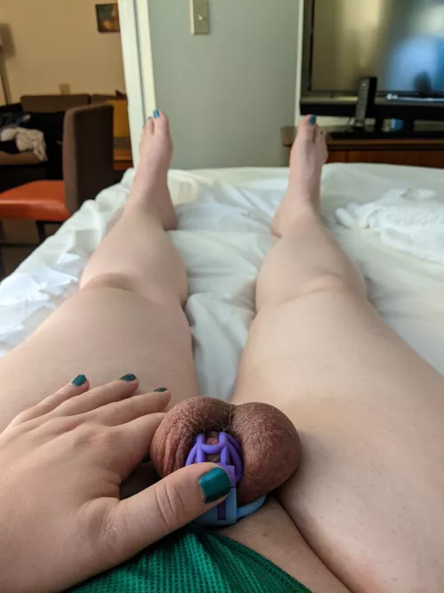 Day 6/7 - I guess I need a green cage next!