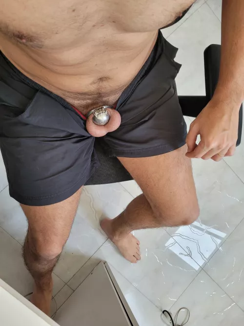 Do you like my cage?