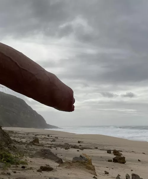 Do you like the view…?