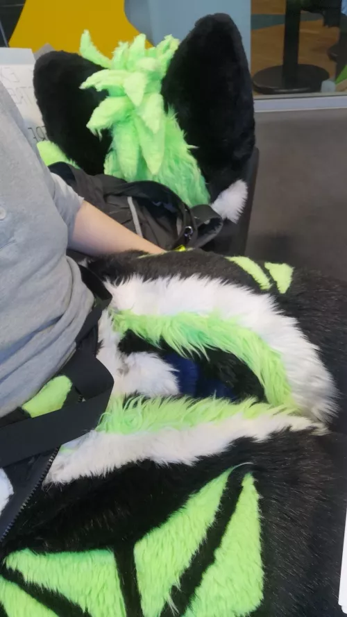 FursuitFriday at the university