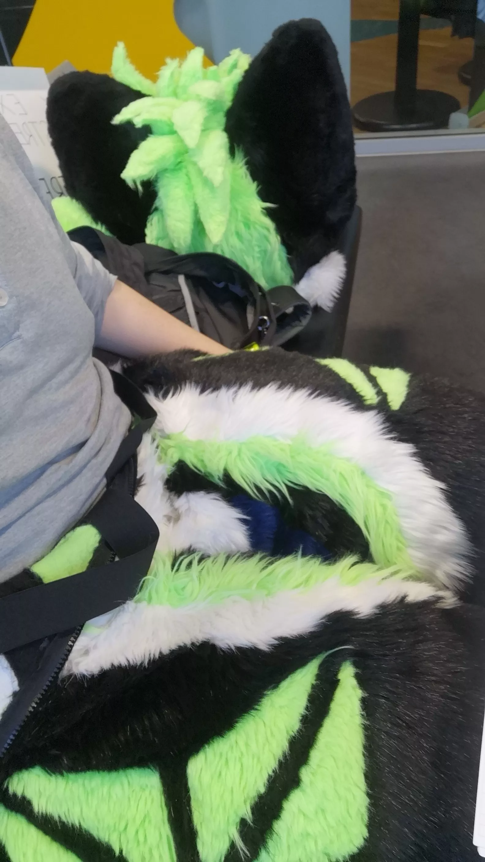 FursuitFriday at the university