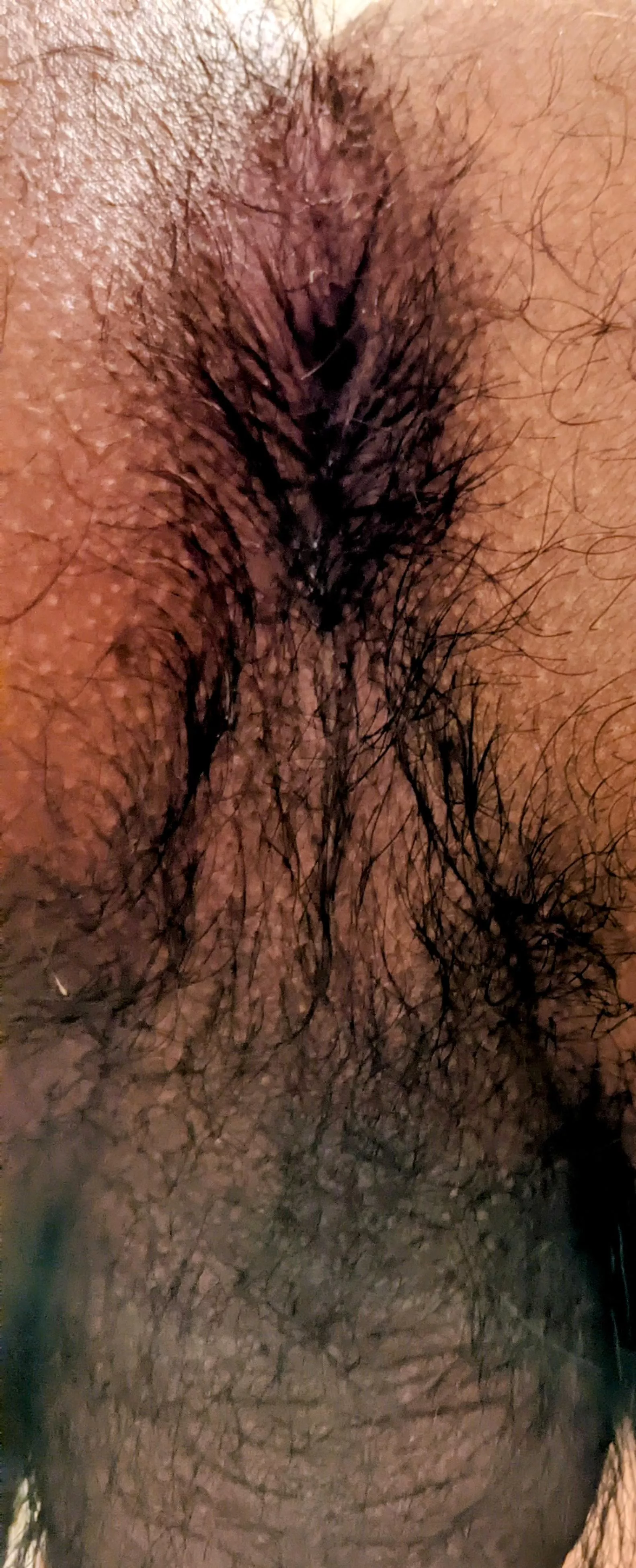 Hair adds flavor 🐽