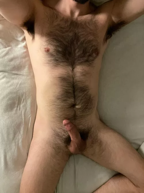 Haven’t touched a trimmer in a while