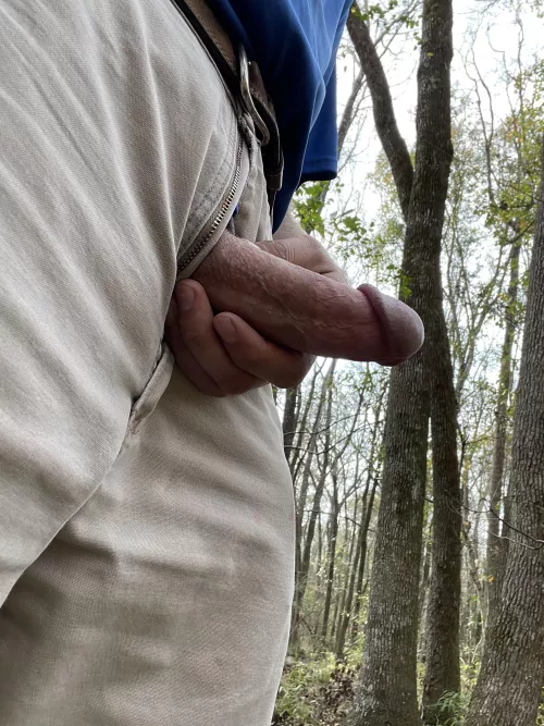 Hope you like it in the woods