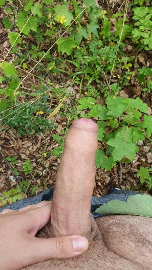 i love wanking outside such an amazing feeling. If you want to know more about me just DM me im open for dirty questions