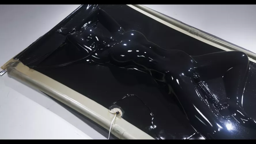 i'm not going anywhere