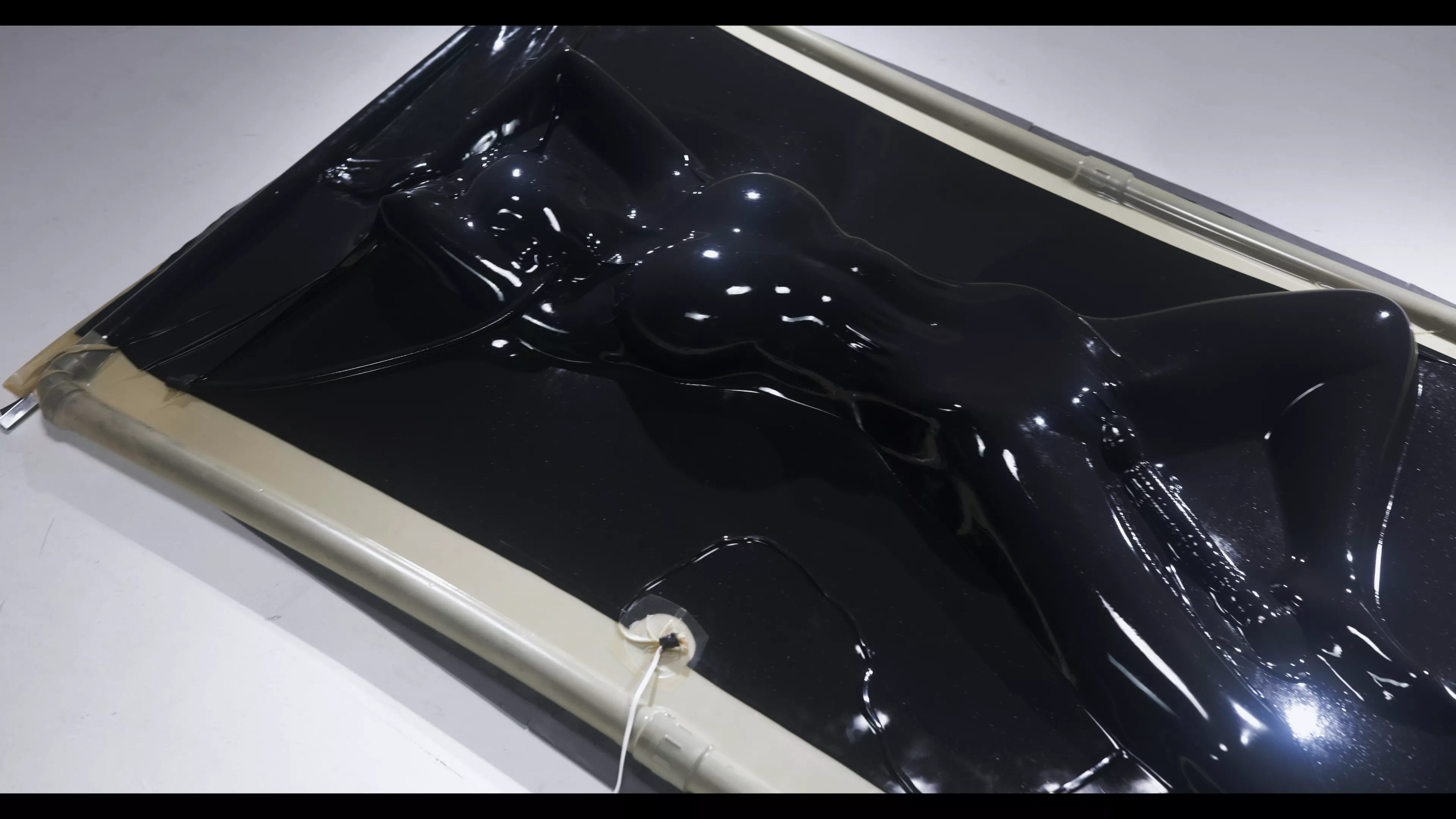 i'm not going anywhere