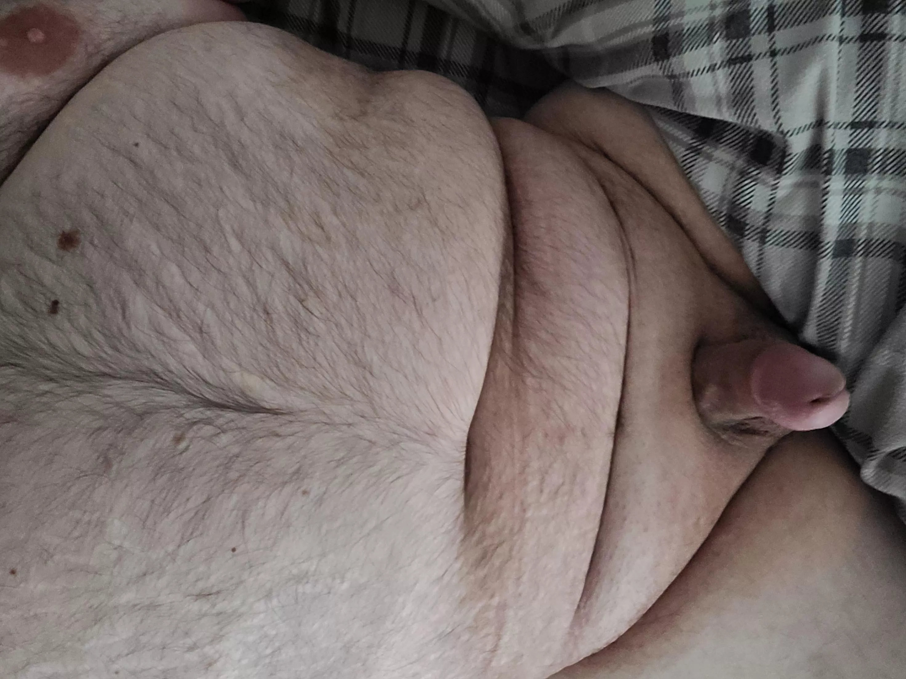 I'm ready to breed and see you swollen with my baby