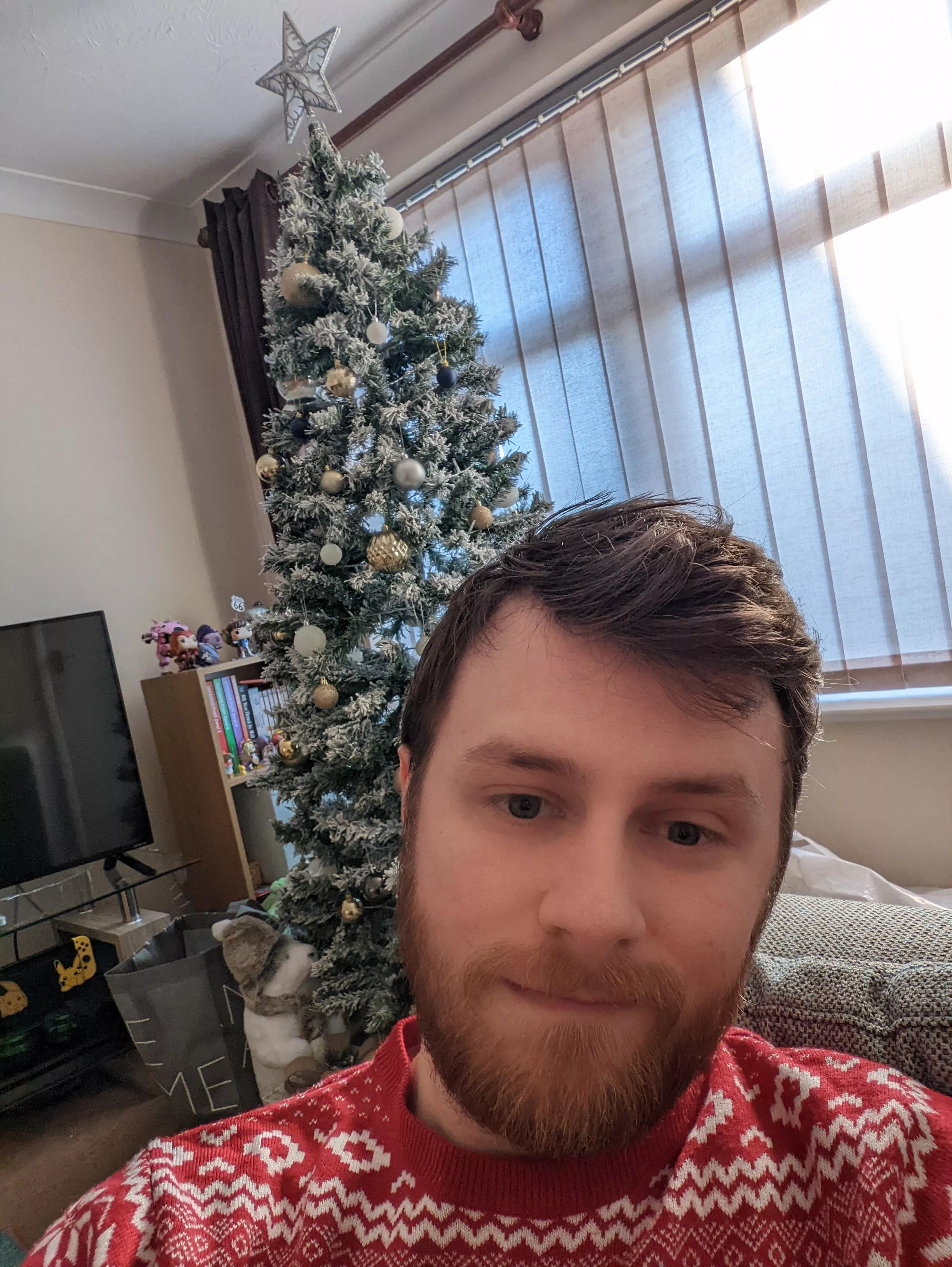 It's beginning to look alot like Christmas!