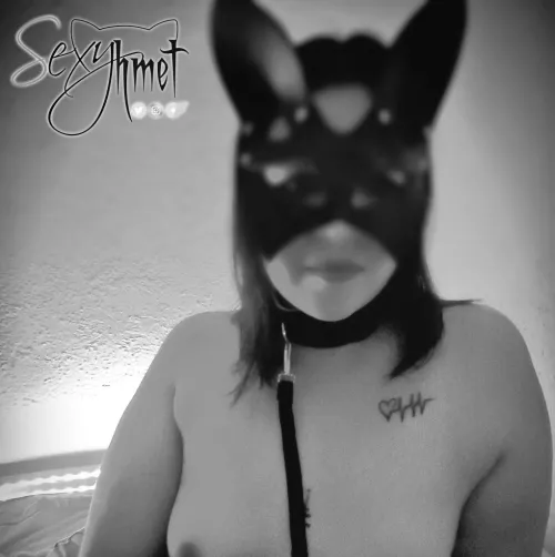 Leashed and ready... [F]