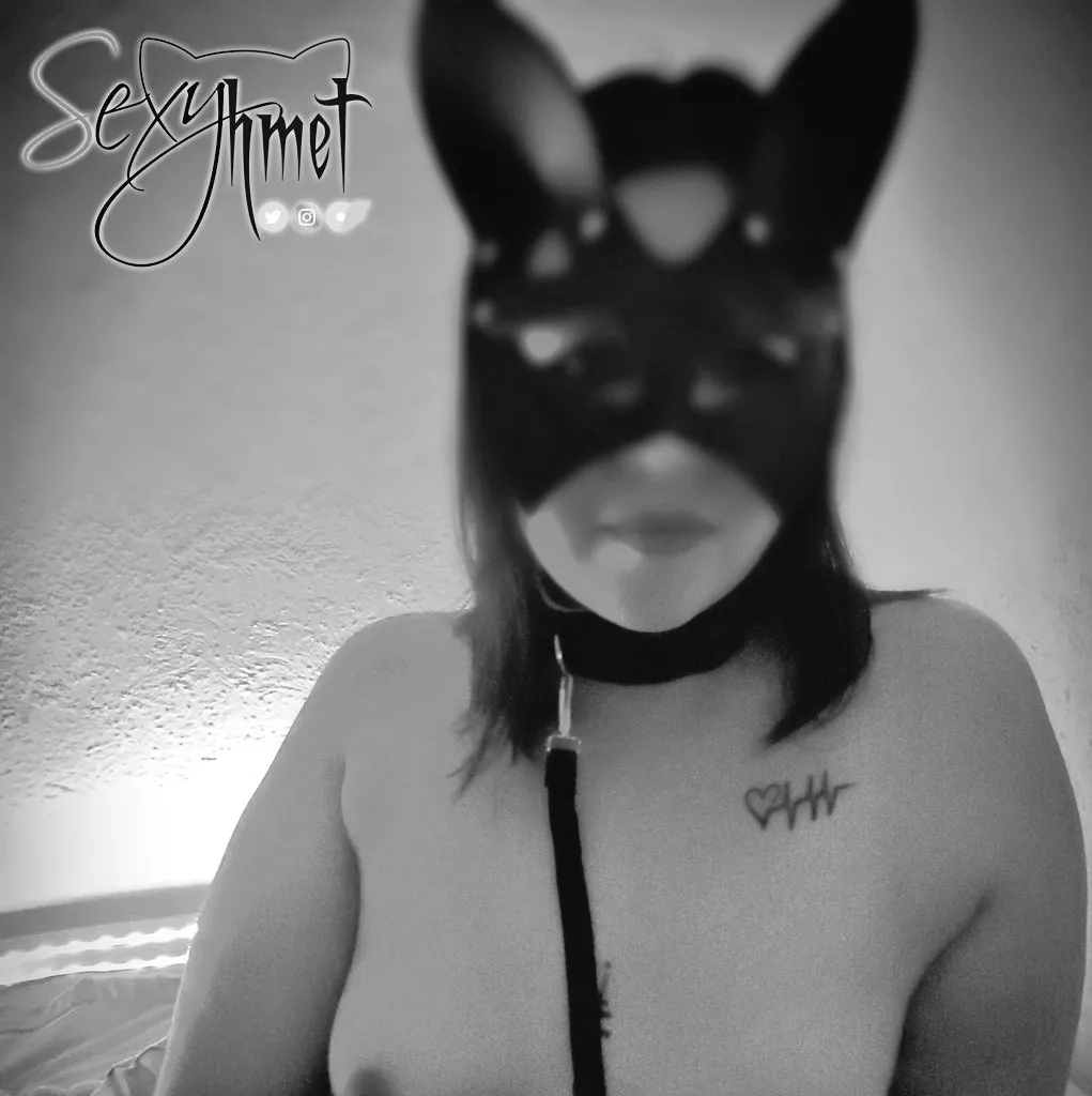 Leashed and ready... [F]