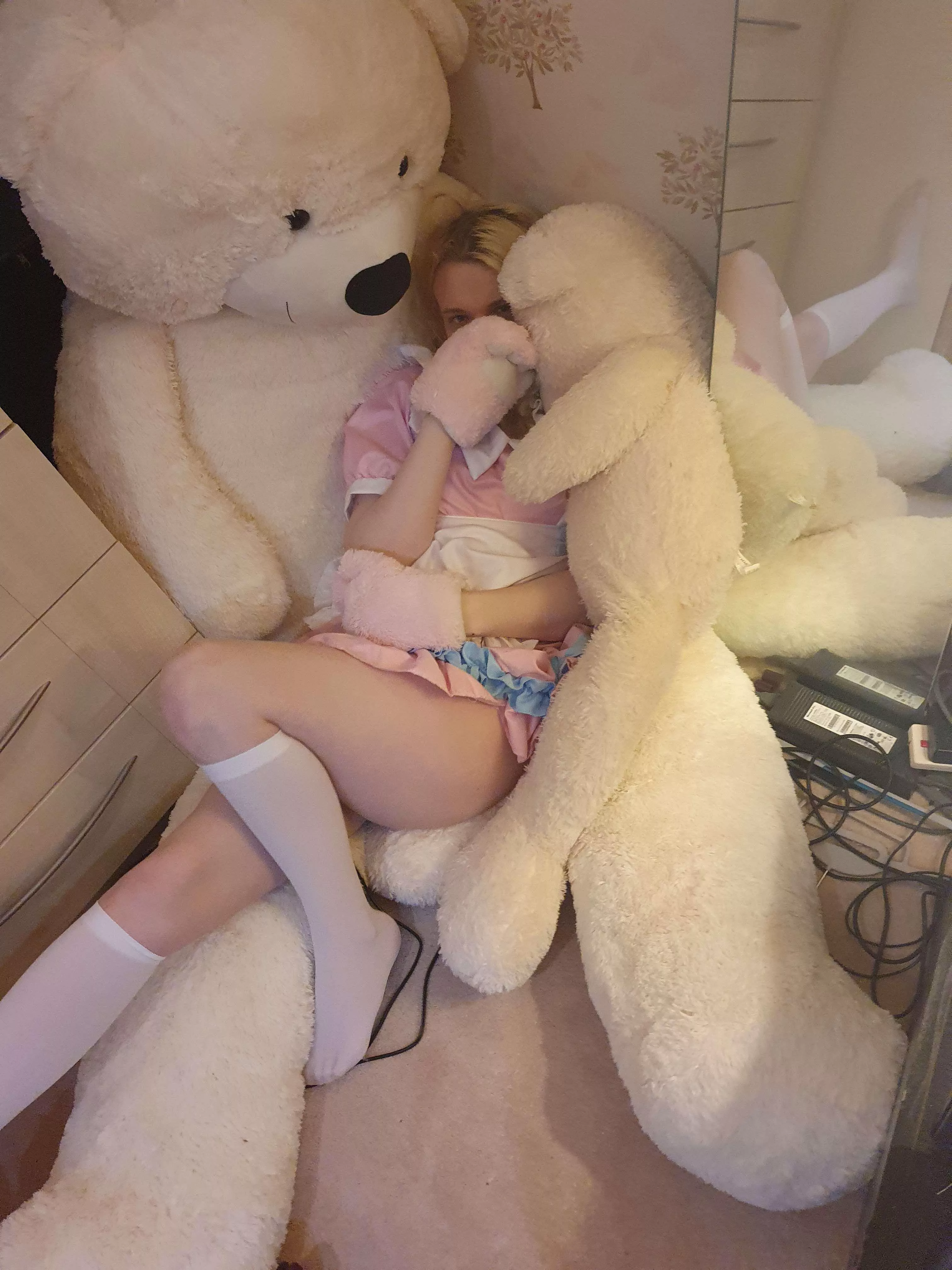 lil trans kitten cutie